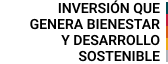 Logo Inversion