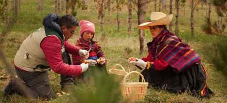 Estos son los nueve Objetivos de Desarrollo Sostenible que impulsa PERUMIN Inspira